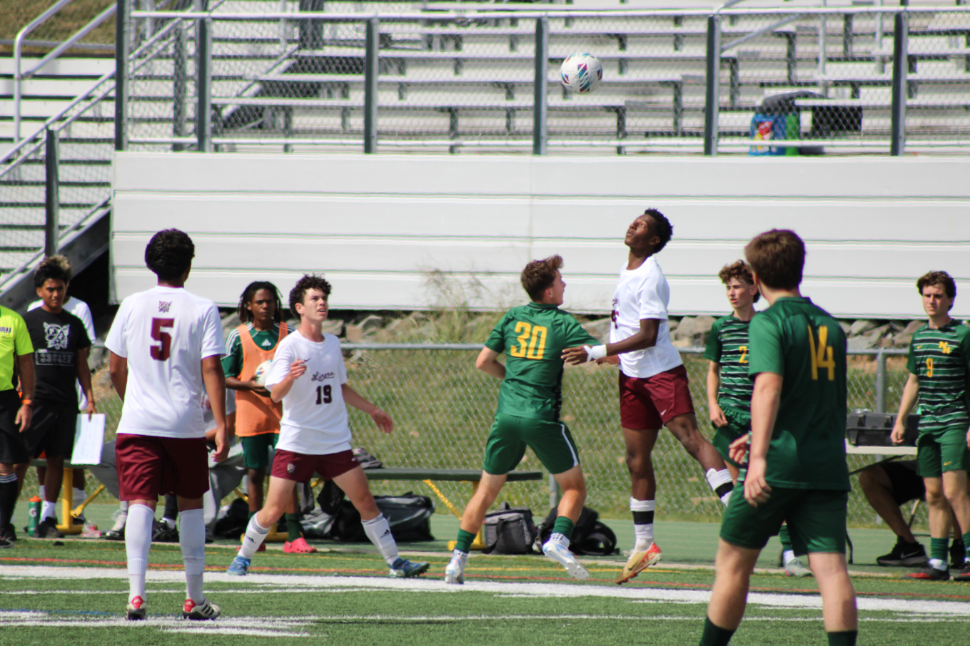 Image 197